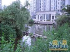 东方龙苑1室2厅1卫南朝向720.00万元/套出售