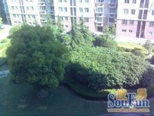 花木板块新上飞机全明户型+视野开阔+安静位置