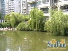 居家装修,刚需好房,小区中心位置,环境优美