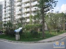 飞机户型三房两卫,采光好,无遮挡,出行便利