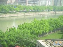 中海格林威治城 4室2厅 东北