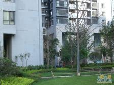 中海格林威治城 2室1厅 西