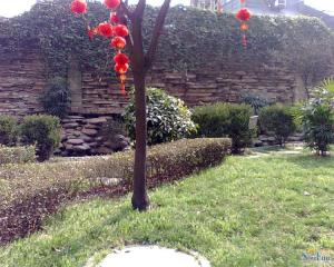 彩虹花园 1室1厅 南