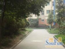 天益佳苑 3室1厅 东南