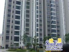 新区双实验,狮山商圈,狮山峰汇一室户,接送方便,看房提前约