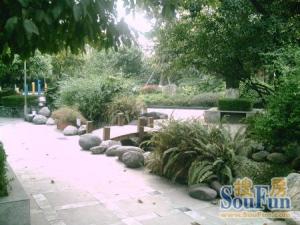 博雅庭韵5室2厅东南