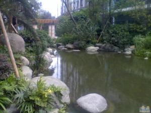 叠翠峰1室1厅南