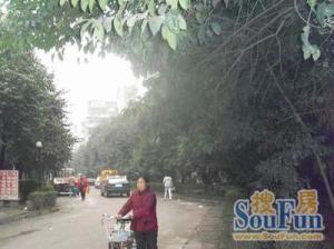 交大广厦小区4室1厅南