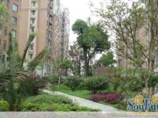 正规大5房顶跃 大户型安心卖朝中庭