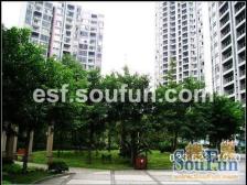 天辰美苑 1室1厅 南