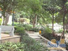 诚德中心 2室2厅 南