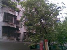 步步高小区 2室1厅 东南