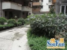 步步高精装三房 南北对流 视野佳