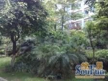 汇景樱桃季 1室1厅 东