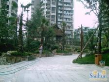 凯丽豪景 3室2厅 西 西北