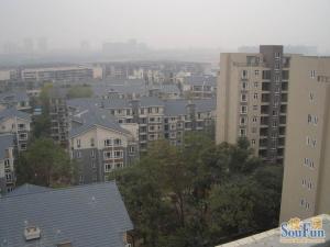 领域 3室1厅 东南