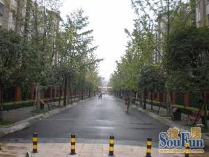 花样年华常青藤 3室2厅 北 南