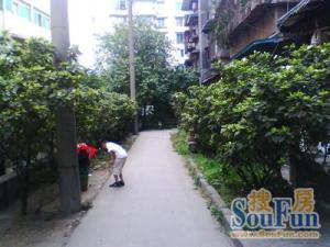 蜀汉小区 2室1厅 西南