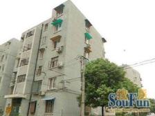 精装+一楼带天井已搭+小区中间位置+安静,采光还可以