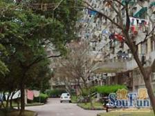 近地铁,现场实勘采光好,电梯房必看好房