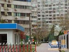 田林·田林新苑·1室·1厅