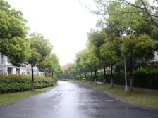 带露台带产权车位,产权清晰,现场实勘,精装急售房源