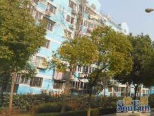 新金山花园 2室2厅1卫 南