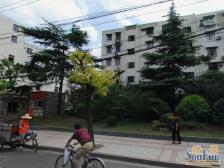 刚做完的美丽家园工程,小区车位充足。