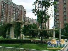 控江·新凤城银座·1室·2厅