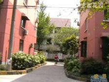 东樱花园 2室1厅1卫