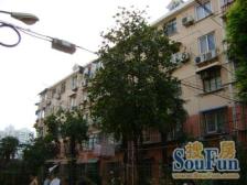 地铁8号嫩江路 双南一北双天井 采光好位置好 看房方便