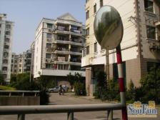 全南户型全明全亮,附带露台,业主诚意出售,四轨交汇