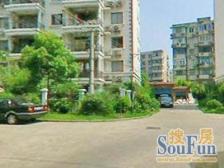 金鸿苑 3室2厅 南