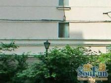 凉城·金鸿苑·2室·1厅