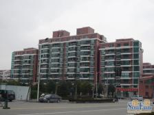 房型正气、配套完善、近地铁、居家装修