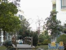 南北通 产权清晰 高楼层采光充足,商品房 高楼层视野好 商圈