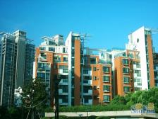 曹杨·曹杨九村-金杨园·1室·0厅