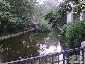 置信逸都花园天乐苑4室2厅南