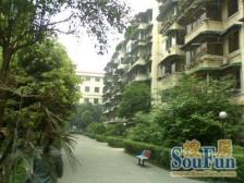 清溪苑 3室2厅 东北