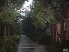 郦景东城 3室2厅 东