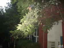 郦景东城 2室2厅 南 东南