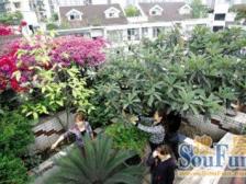 舒适三房东向住宅,理想居住之选,诚心出售