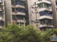 新农八村 3室2厅 东南