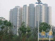 和乔丽晶 双湖版块 近东方之门 百万豪.装未住过全湖景