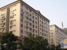 石竹花园 3室2厅 南