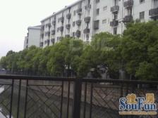 政通路100弄 1室1厅 南 北
