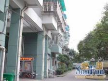 政通路100弄 1室1厅 南 北