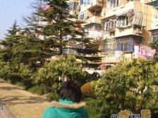 近地铁 简单装修 美丽家园改造中 采光好 户型方正