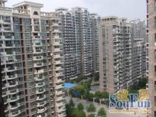 飞机户型三房,视野开阔,没有任何遮挡,南北通透