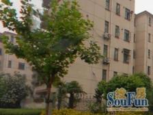 金杨·黄山小区·1室·1厅